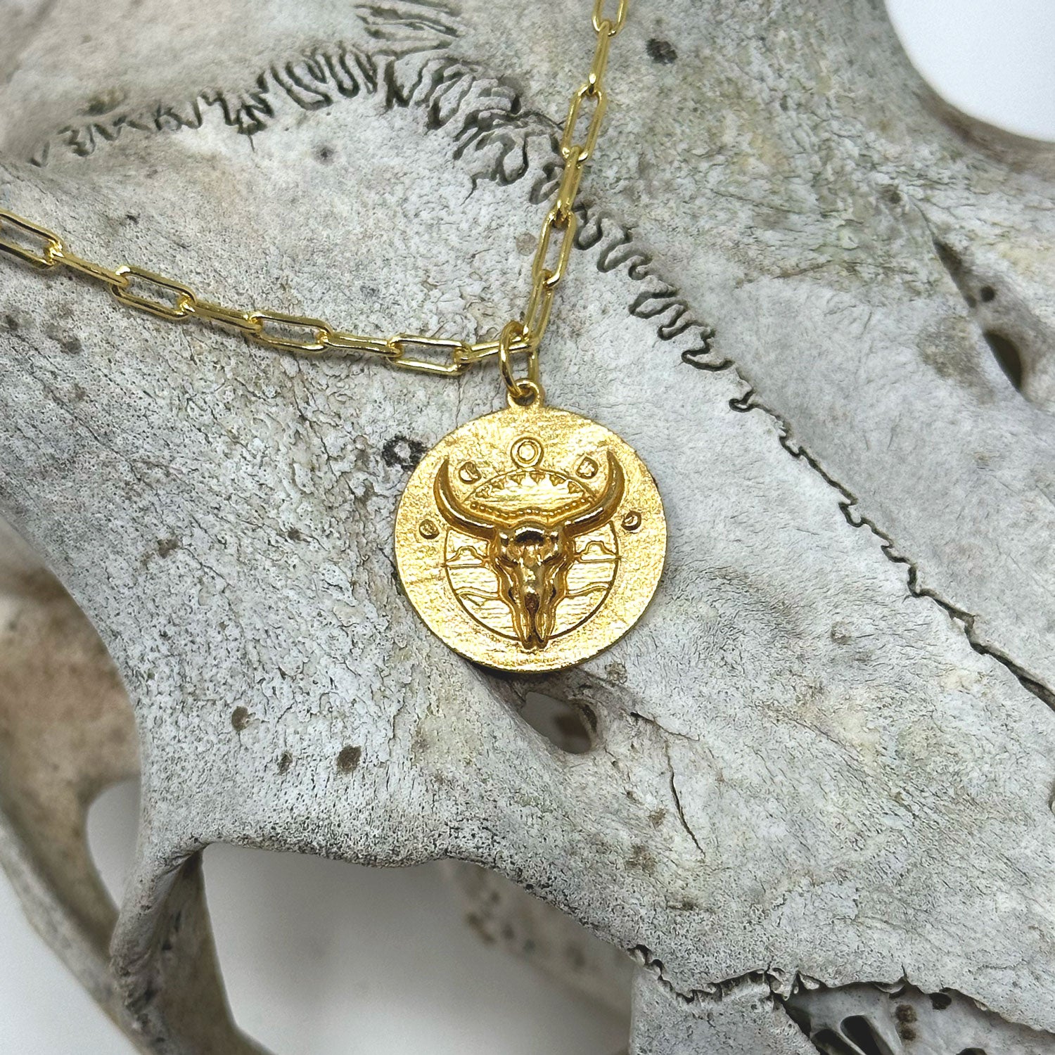 Spirit of the Wilderness - Desert Skull Pendant Necklace