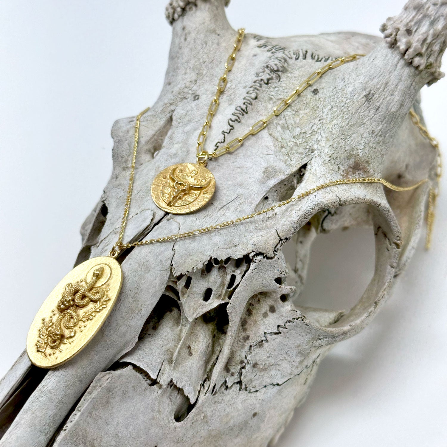 Spirit of the Wilderness - Desert Skull Pendant Necklace